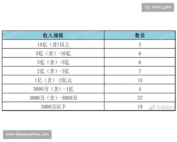 单关赛事动态精华汇总赛事回顾数据统计深度解析未来展望 单关赛事动态精华汇总赛事回顾数据统计深度解析未来展望