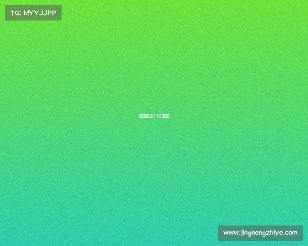 中国女排2016年战绩