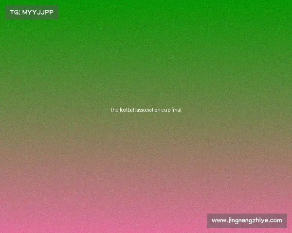 the football association cup final