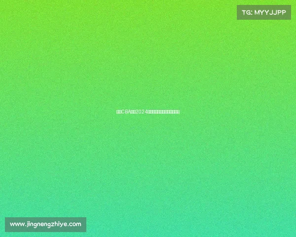 深圳CBA联赛2024赛季全面赛程安排及场馆信息